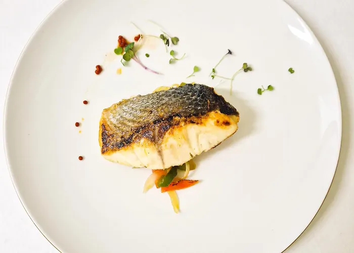 卡塞雷斯旅馆 酒店